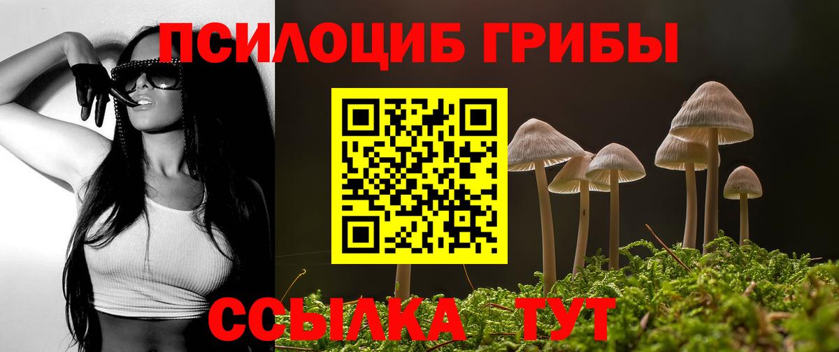 Псилоцибиновые грибы MAGIC MUSHROOMS Ирбит